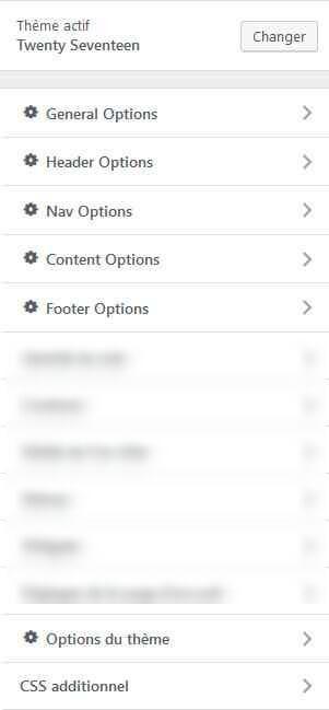 Options for Twenty Seventeen