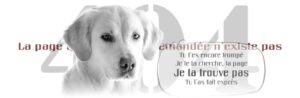 erreur 404